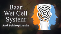 Baar Wet Cell System and Schizophrenia