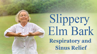 Slippery Elm Bark and Respiratory and Sinus Relief